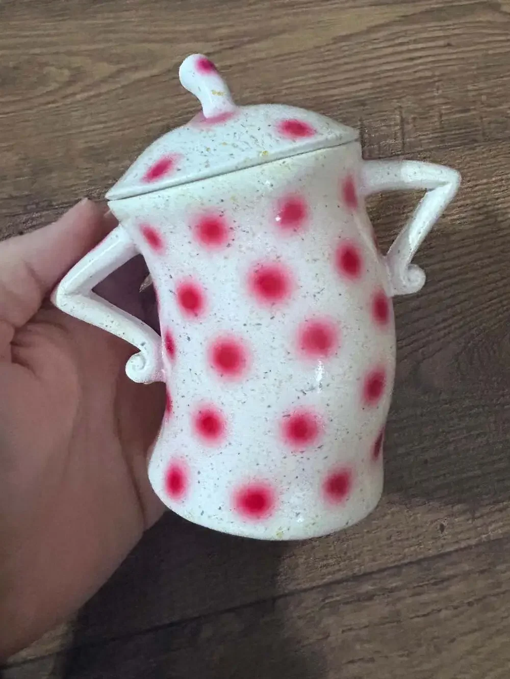 Funny Resin Canister Attitude Sassy Storage Jar & Lid.